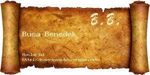 Busa Benedek névjegykártya